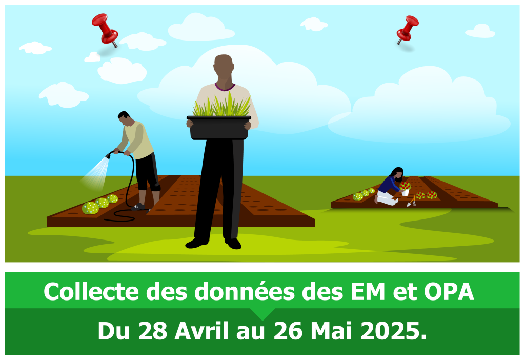 Exploitations Agropastorales de type Moderne (EM) et Organisations des Producteurs Agricoles (OPA)